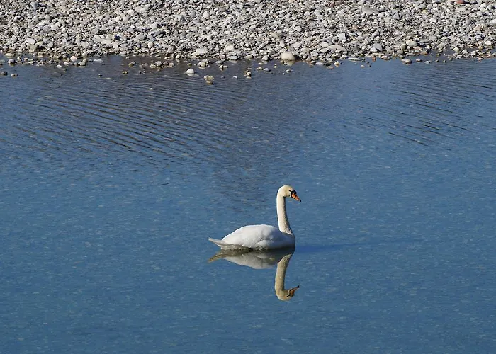 Haus Schoen Weberhof Pensjonat Kirchbichl