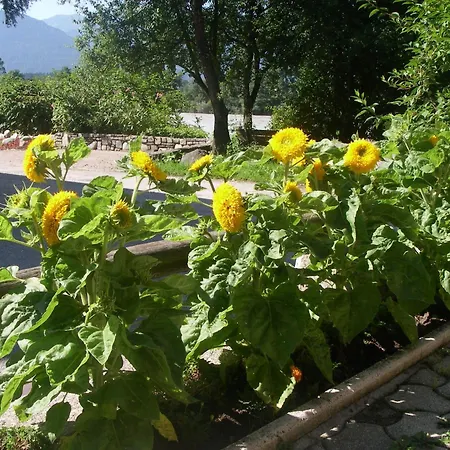 Guest house Haus Schoen Weberhof 3*